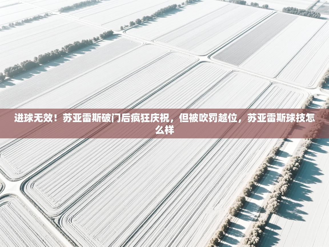 进球无效!苏亚雷斯破门后疯狂庆祝,但被吹罚越位,苏亚雷斯球技怎么样 第1张